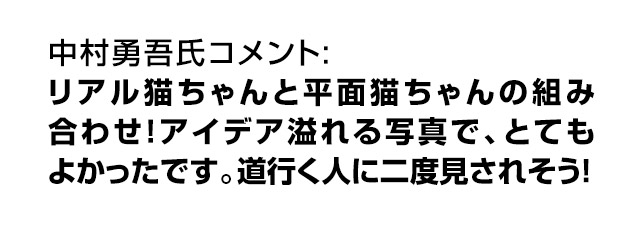 中村勇吾氏コメント: リアル猫ちゃんと平面猫ちゃんの組み合わせ!アイデア溢れる写真で、とてもよかったです。道行く人に二度見されそう!